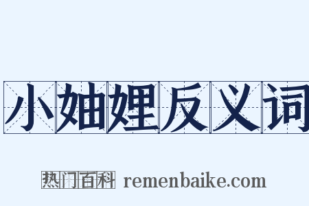 小妯娌反义词是什么意思的图片